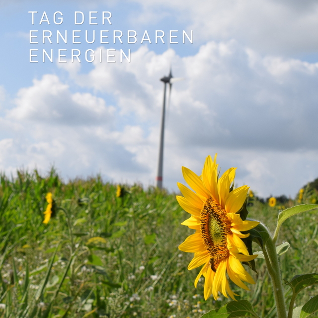 Energie von hier für hier, genau darum geht es heu ...