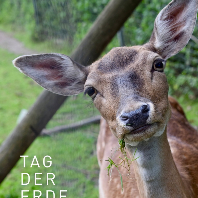 Heute geht es um das, was uns alle verbindet unser ...