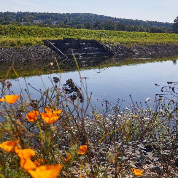 Hier beginnt der Weg unseres Trinkwassers. Regiona ...