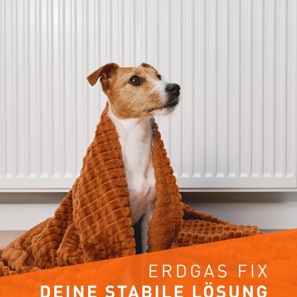 Erdgas zum festen Preis 🔥
Viele Haushalte bekomme ...