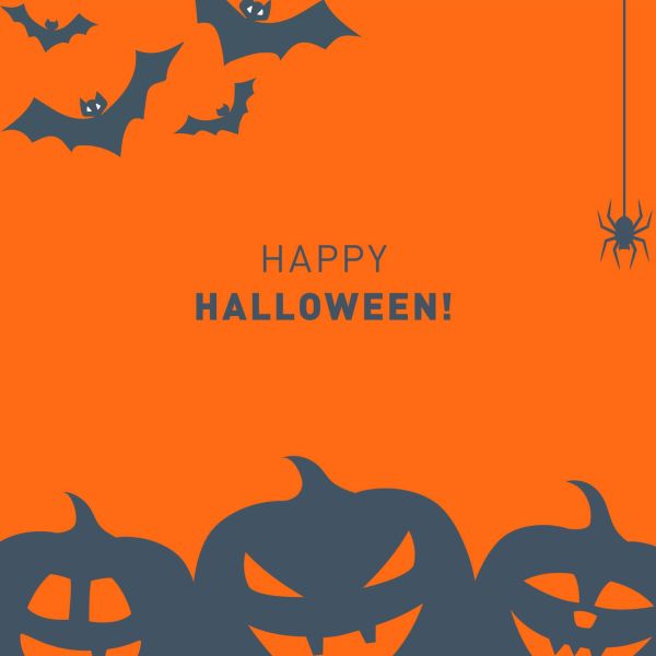 Stromschock? Kennen wir nicht.👻
Bei uns gibt’s En ...