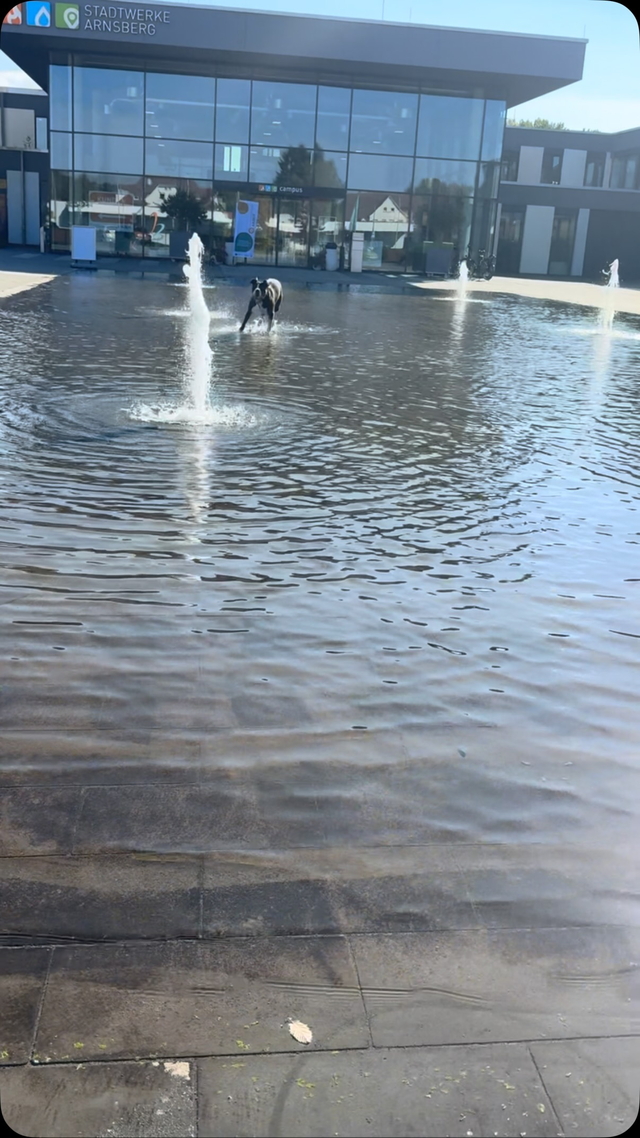 Abkühlung?🐾
Dieser kleine Besucher hat unser Wass ...